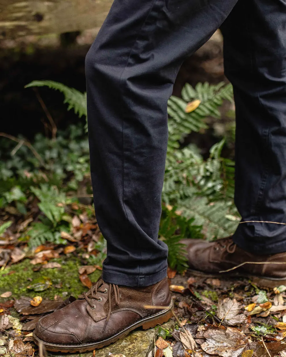 365 Organic Cotton Pants