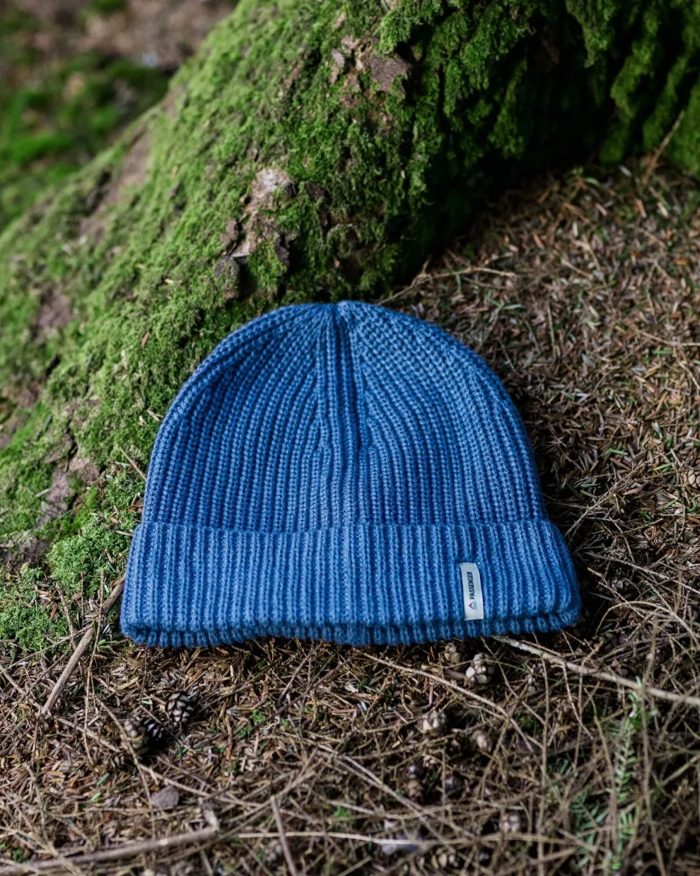 Compass Recycled 2.0 Beanie