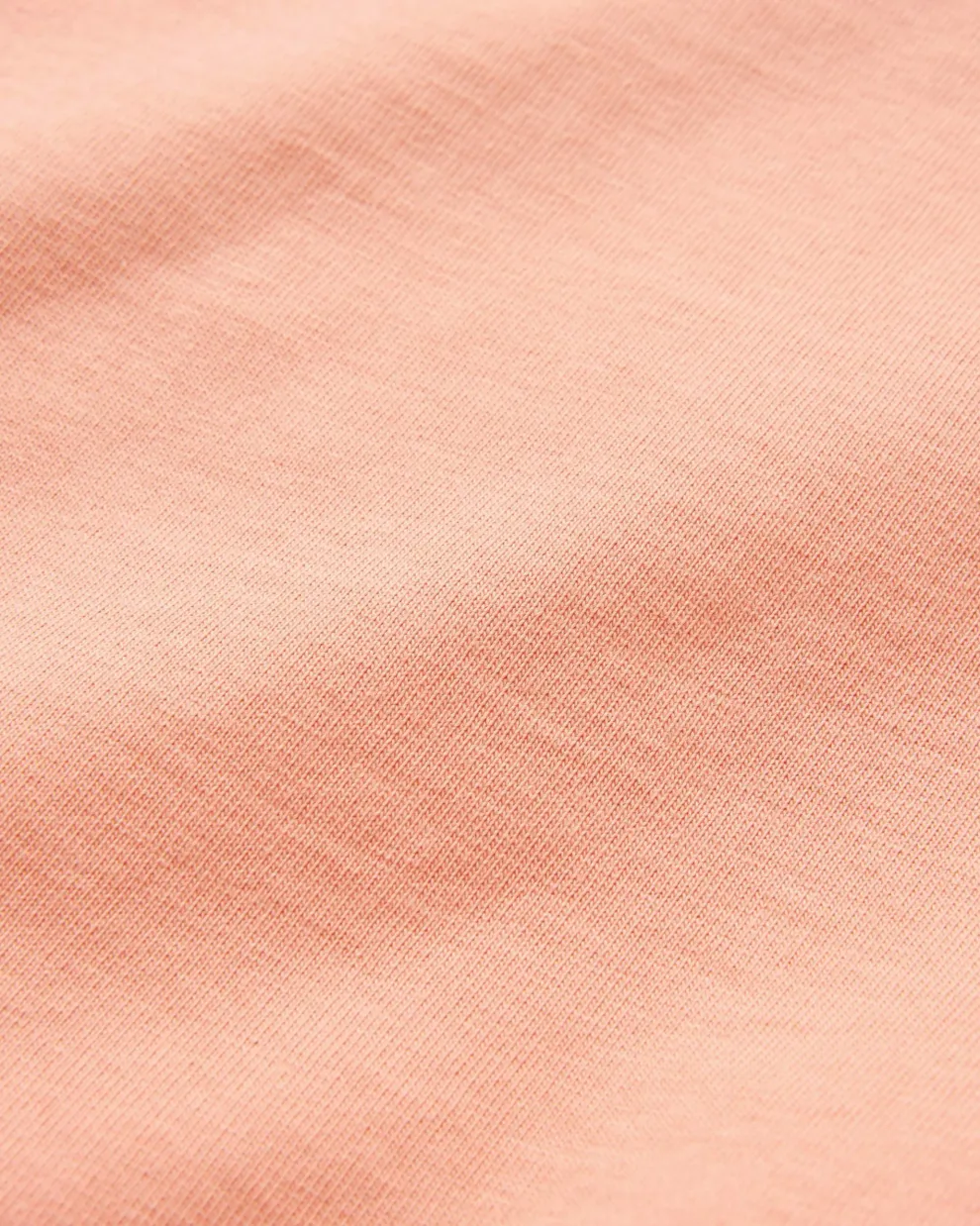 Dumont Organic Relaxed Fit T-Shirt